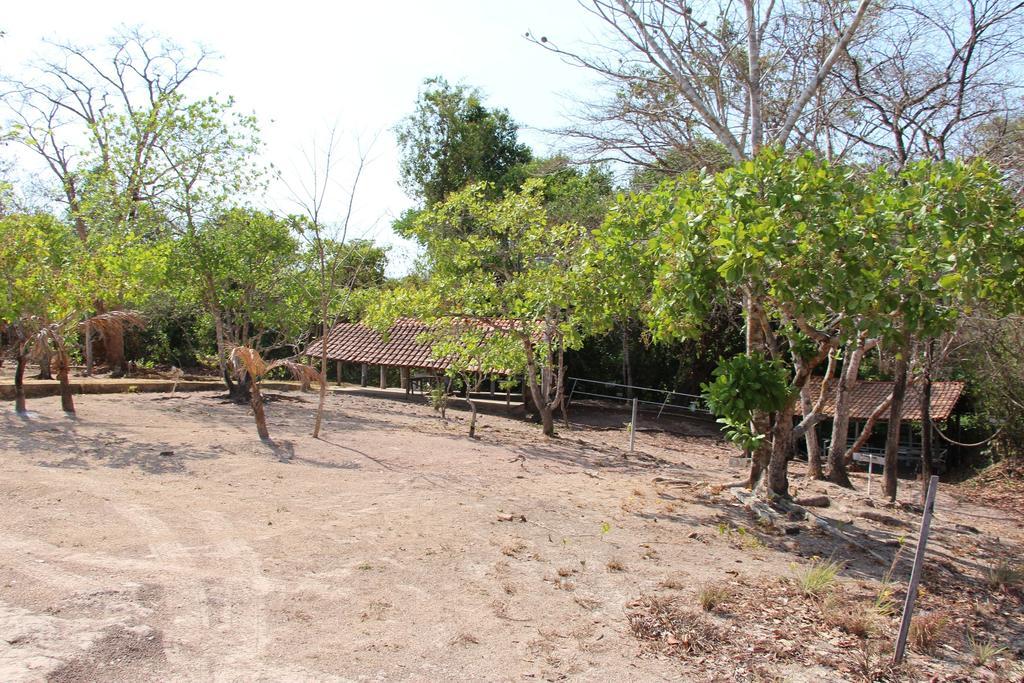 Hotel Fazenda Arara Azul Carolina  Exteriör bild